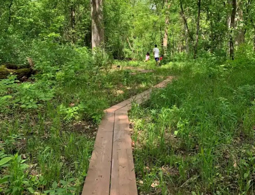 Kuechmann Arboretum, United States